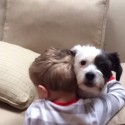 Dog Wont Fetch, But Boy Still Loves Him – TOO CUTE! [VIDEO]