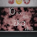 What Is The Zika Virus? 10 Things You Need To Know [VIDEO]