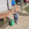 Toddler Makes Friends With Fawn And It’s Totes Adorbs [VIDEO]