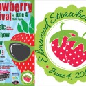 Win With The Elmwood Strawberry Festival!